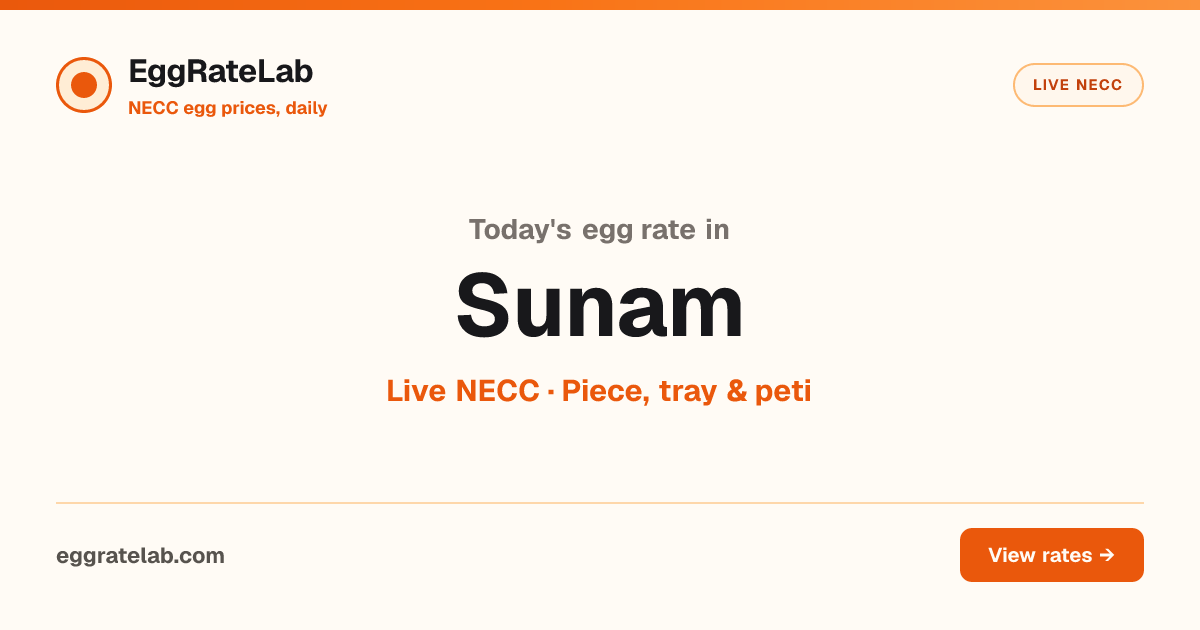 Today Egg Rate in Sunam: Live NECC Egg Price