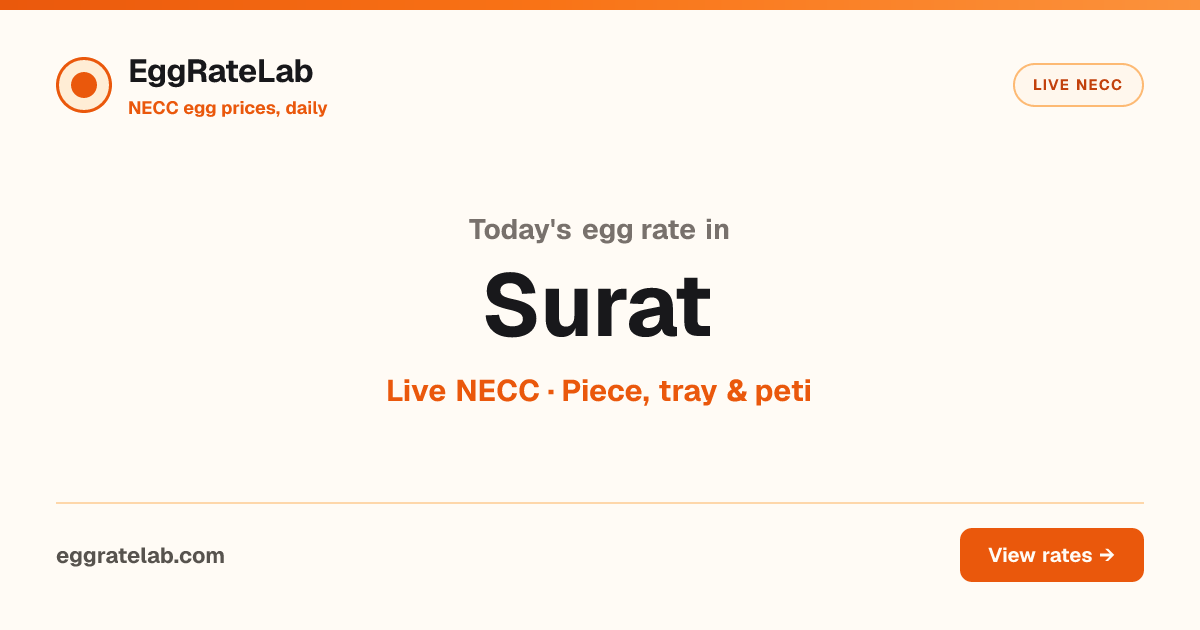 Today Egg Rate in Surat: Live NECC Egg Price