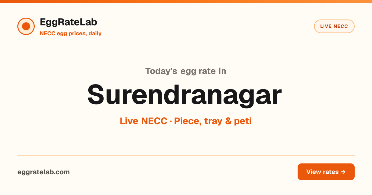 Today Egg Rate in Surendranagar: Live NECC Egg Price