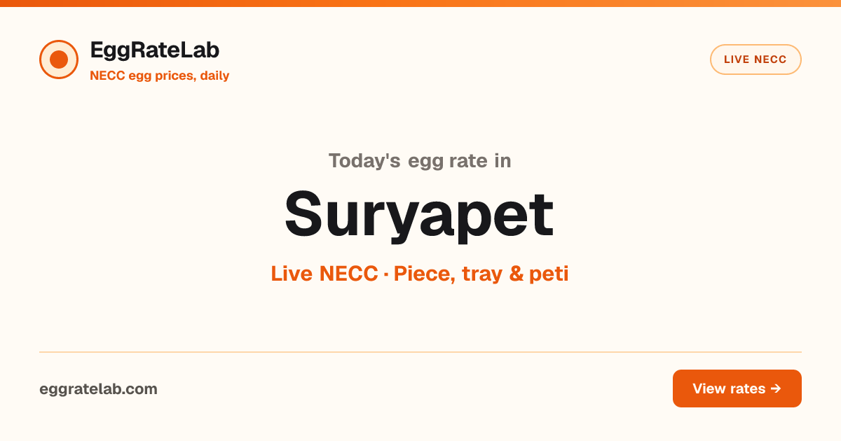 Today Egg Rate in Suryapet: Live NECC Egg Price