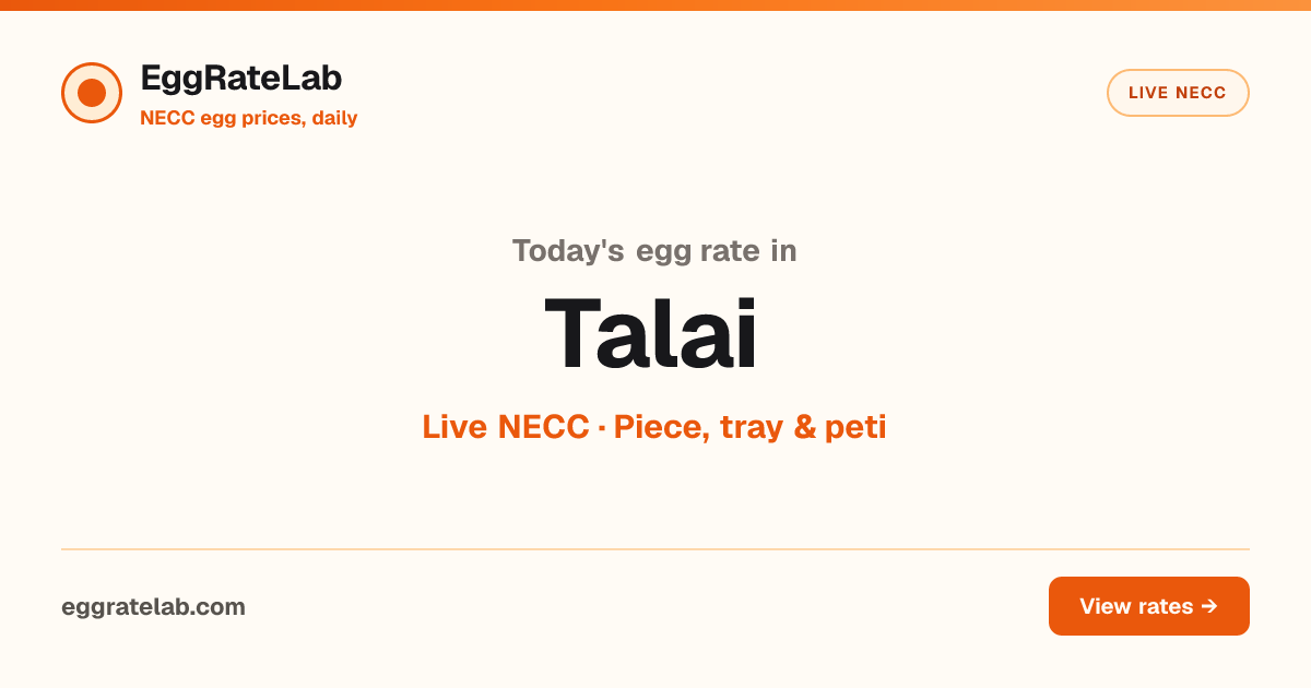 Today Egg Rate in Talai: Live NECC Egg Price