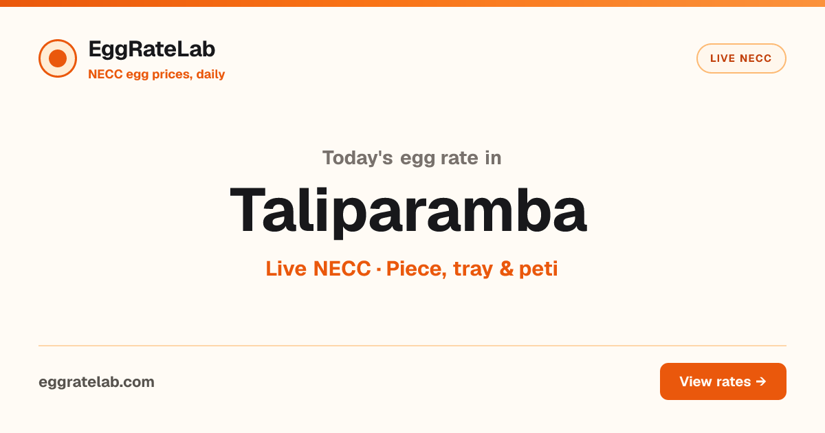 Today Egg Rate in Taliparamba: Live NECC Egg Price
