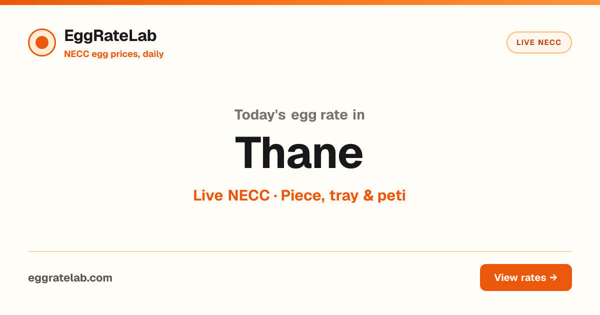 Today Egg Rate in Thane: Live NECC Egg Price