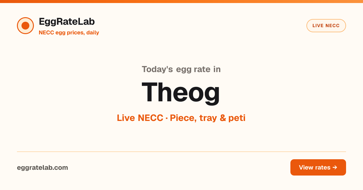 Today Egg Rate in Theog: Live NECC Egg Price
