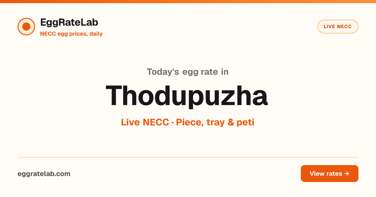 Today Egg Rate in Thodupuzha: Live NECC Egg Price