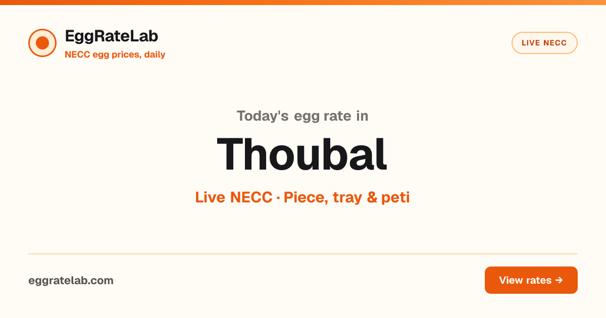 Today Egg Rate in Thoubal: Live NECC Egg Price