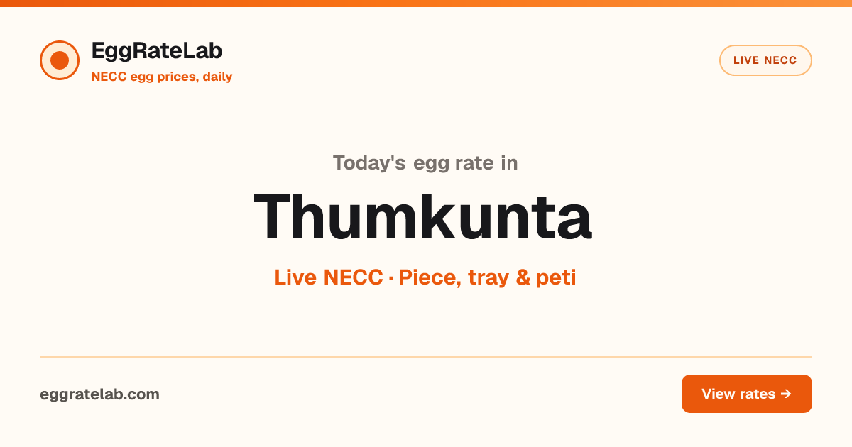 Today Egg Rate in Thumkunta: Live NECC Egg Price