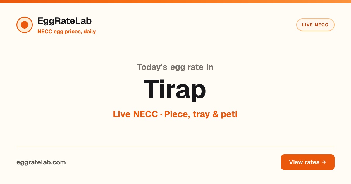 Today Egg Rate in Tirap: Live NECC Egg Price