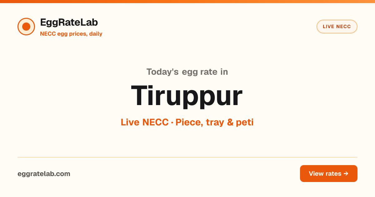 Today Egg Rate in Tiruppur: Live NECC Egg Price