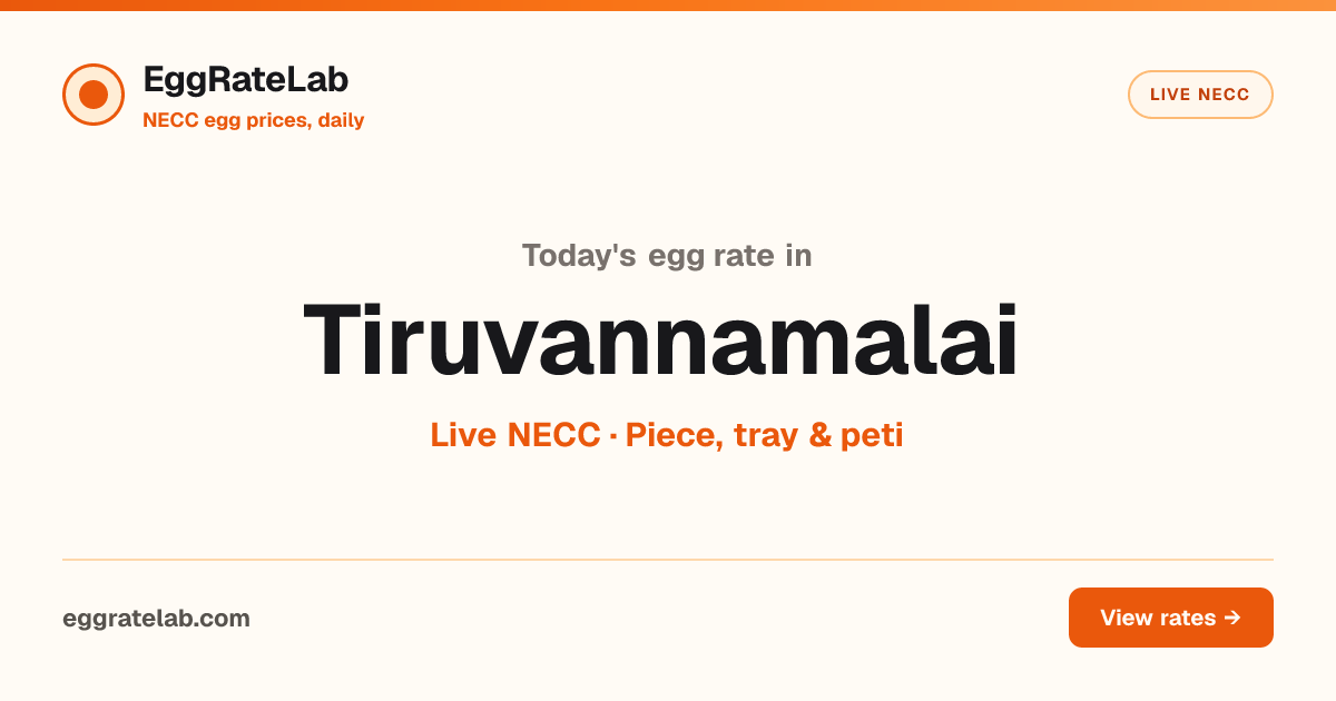 Today Egg Rate in Tiruvannamalai: Live NECC Egg Price