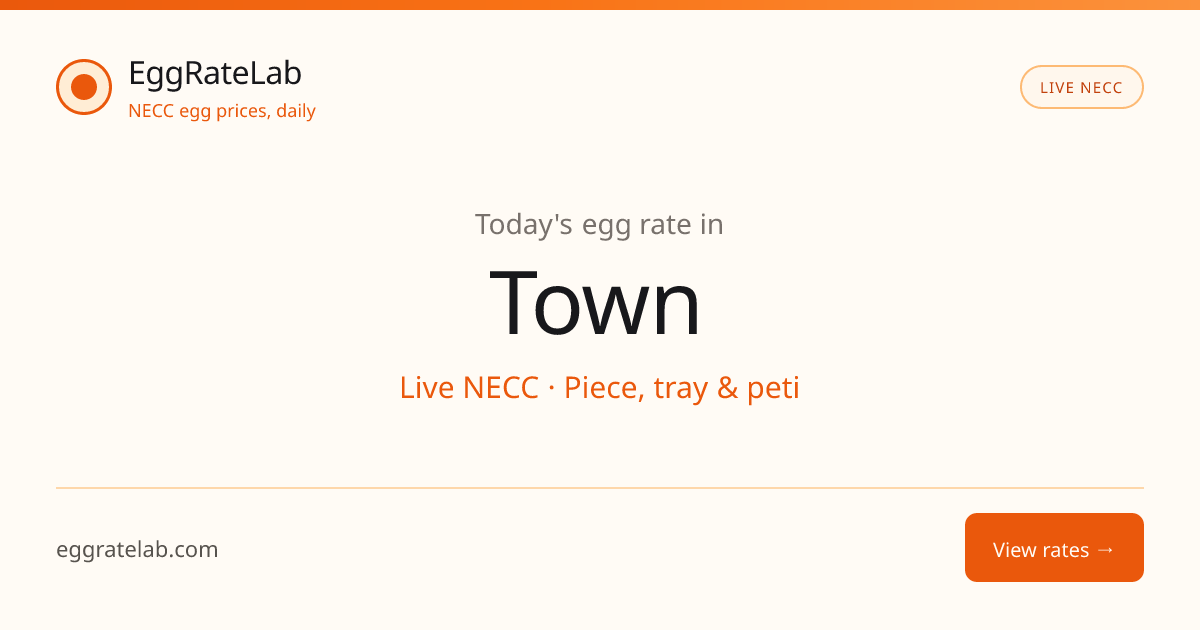 Today Egg Rate in Town: Live NECC Egg Price