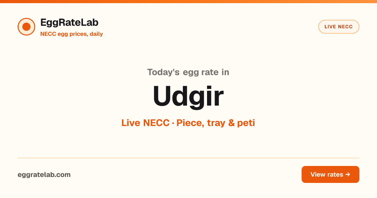 Today Egg Rate in Udgir: Live NECC Egg Price