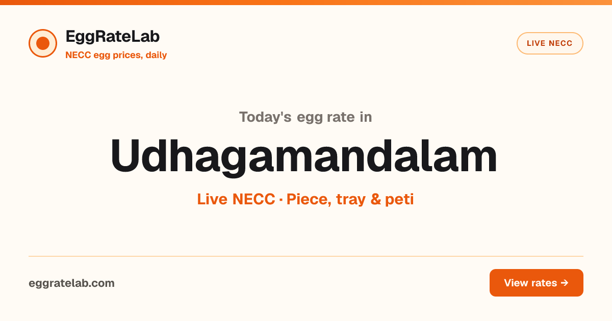 Today Egg Rate in Udhagamandalam: Live NECC Egg Price