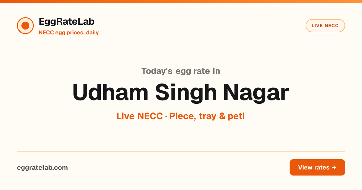 Today Egg Rate in Udham Singh Nagar: Live NECC Egg Price