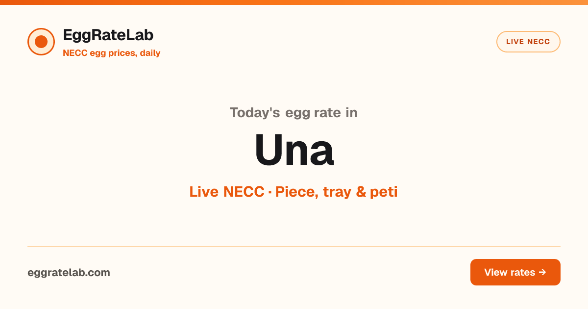 Today Egg Rate in Una: Live NECC Egg Price
