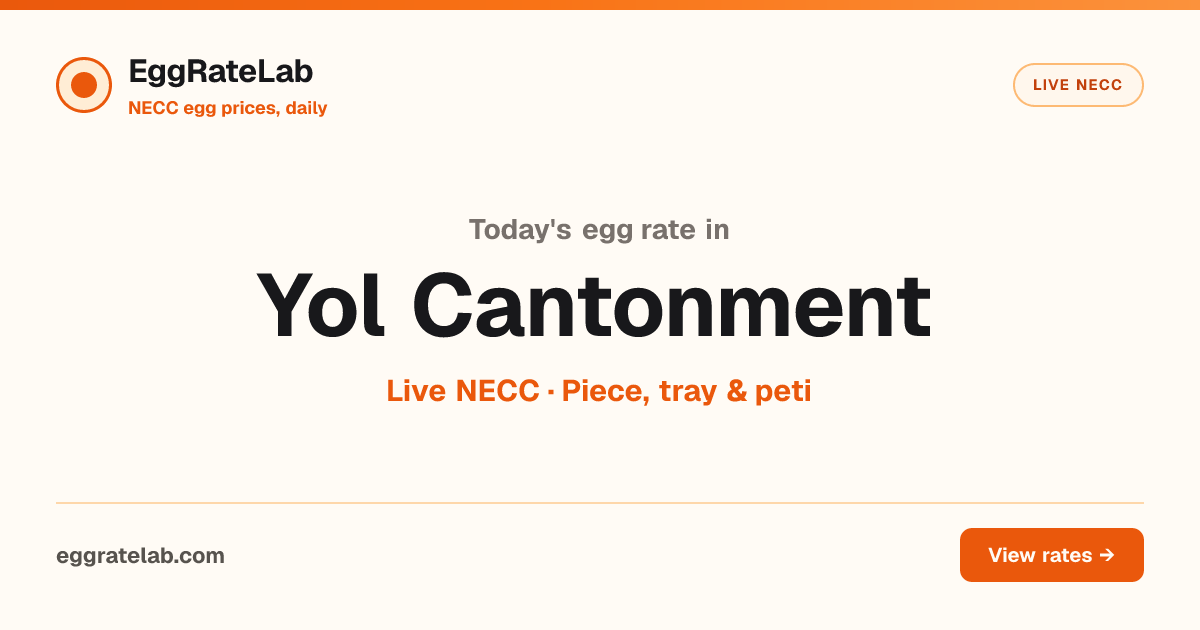 Today Egg Rate in Yol Cantonment: Live NECC Egg Price